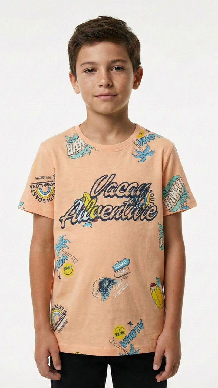 LCW Boys Printed Embroided T-Shirt